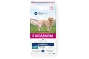 Hund - Eukanuba Special Care Overweight Adult All Breed – dry dog food – 12kg - 8710255196428